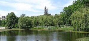 Объявили тендер: 