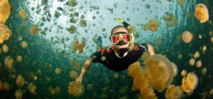 Невозможно купаться: в Бердянске море превратилось в желе