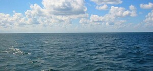 Выбирай другой: в Одессе на одном из пляжей лучше не купаться 