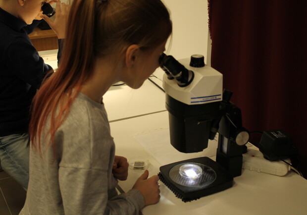 Афиша - Детям - Мастер-класс с микроскопом