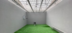 Не камерами едиными: в Лукьяновском СИЗО обновили прогулочную площадку с газоном