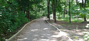 Хотят обустроить: в парке 