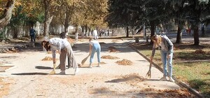 Странная учеба: школьников заставили подметать парк вместо уроков