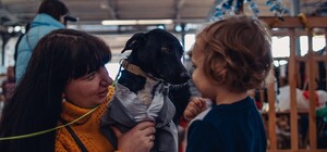 Найти питомца и посмотреть на 