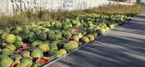 Как по Достоевскому: на Осокорках торговца заставили убрать выброшенные им арбузы