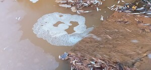 Наплевали на экологию: в одно из киевских озер постоянно сливают отходы