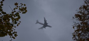 Из-за тумана самолеты в Одессу долетели пустыми: пассажиры добираются на автобусах