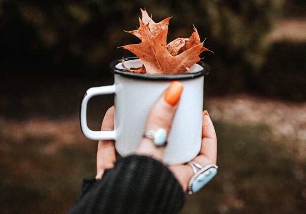 Афиша Харькова: какие мероприятия пройдут на этих выходных (13-14 ноября)