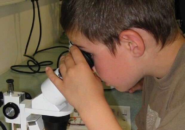 Мастер-класс с микроскопом (практические занятия) - фото