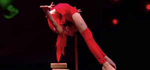 11-летняя запорожанка установила мировой рекорд и подняла всех судей шоу 