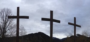 Сколько человек умерло в Запорожье и области с начала 2021 года