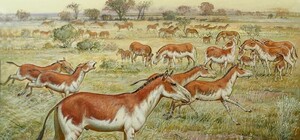 Возле Куяльницкого лимана нашли останки вымершего животного