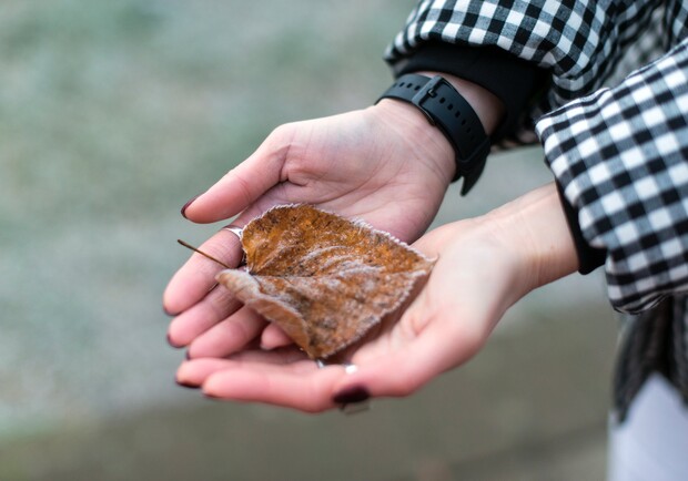 Афиша Харькова: какие мероприятия пройдут на этой неделе (29 ноября-5 декабря)