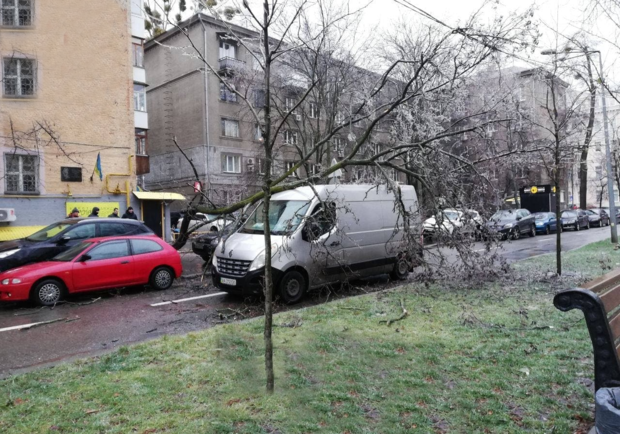 В Киеве из-за ледяного дождя деревья падают на дороги и автомобили. 