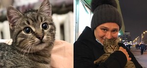 Котенок, которого спасли в харьковском метро, нашел хозяев