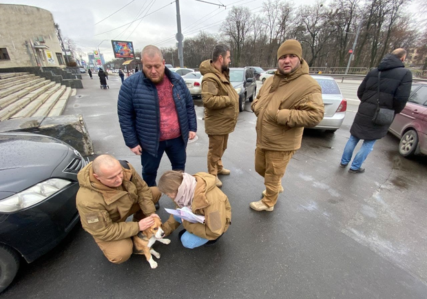 Возле парка КПИ муниципалы остановили транспорт, чтобы спасти сбитую собаку 