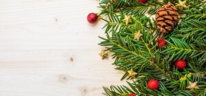 Куда киевляне могут сдать новогодние елки и сосны: адреса