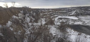 В Запорожье волонтеры четвертый день пытаются достать собаку из карьера