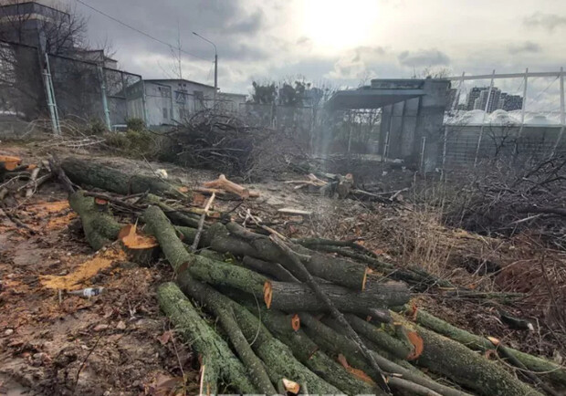 На Черепановой горе в Киеве ради застройки спилили сотни деревьев. 