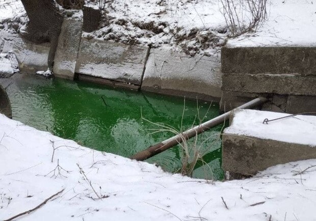 Вода в реке Сырец в Киеве стала ядовито-зеленого цвета: в чем причина. 