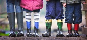 Посівний календар на лютий 2022: що робити в останній місяць зими