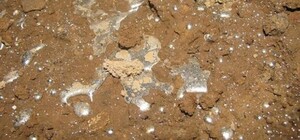 Концентрация опасных веществ в воздухе близ метро 