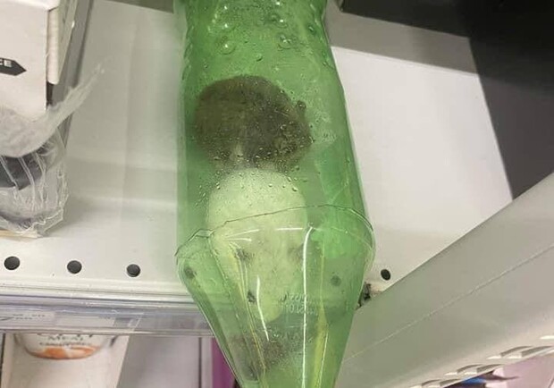 У гіпермаркеті у Києві біля котячого корму знайшли пляшку з хом'яками. 