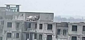 З даху львівської дев'ятиповерхівки скинули автомобіль — відео