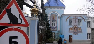 В одеському монастирі допомагають котам-біженцям (фото)
