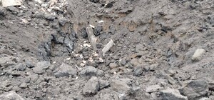 В Днепропетровской области оккупанты ударили в свинокомплекс