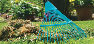 С 11 мая по 16 июня по всем районам Киева пройдут городские толоки. График