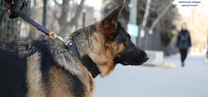 Три диверсанти та любитель гучної музики: кого за добу затримали одеські патрульні