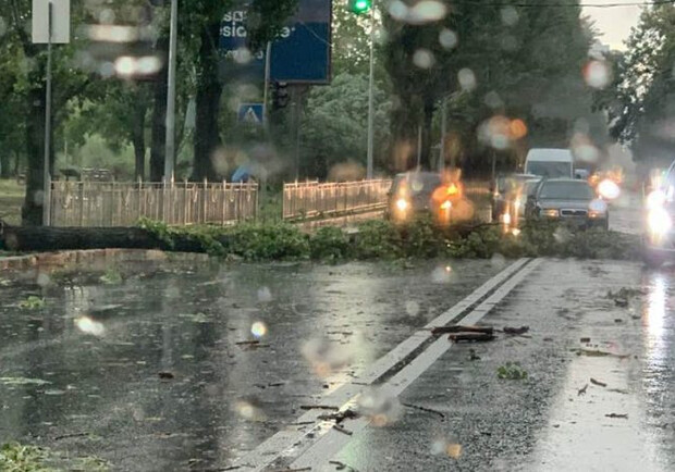 Из-за сильной грозы в Киеве и области пропал свет и повалились деревья. 