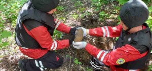 В ботсаду Гришко недалеко от пешеходной дорожки нашли четыре снаряда