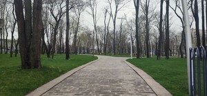 В Днепре реконструируют парк Писаржевского: что нового там появилось