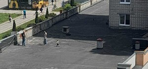 На даху львівської багатоповерхівки помітили трирічну дитину – фото 