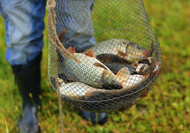 Біля Страхолісся двоє браконьєрів виловили риби на понад 400 тисяч гривень. 