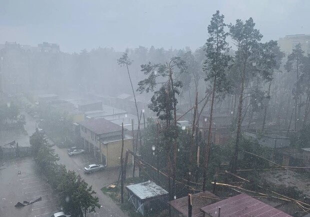 У Києві та області негода ламає дерева та затоплює вулиці. 