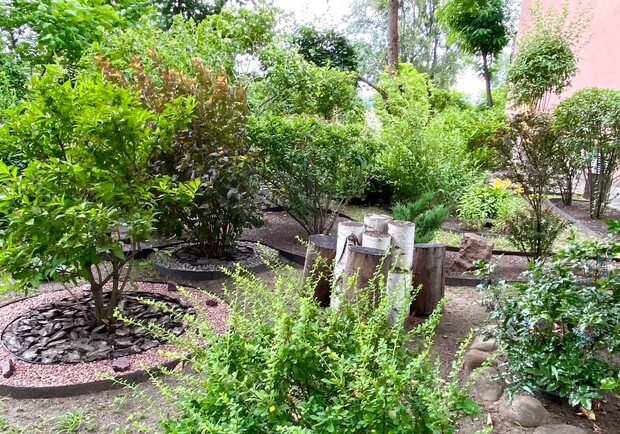 У Дарницькому районі киянка створила невеличкий сад у дворі. 