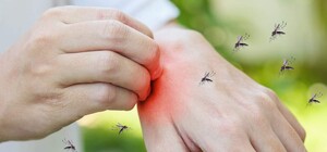 Біолог розповів, коли зменшиться нашестя мошок у Дніпрі