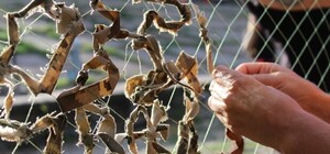 У Львові проведуть змагання з плетіння маскувальних сіток