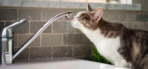 В Днепре будут ремонтировать водопровод, разрушенный из-за ракетного удара