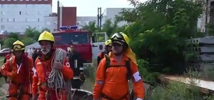 Кінологи, дігери та волонтери: в Одесі створили добровільне формування