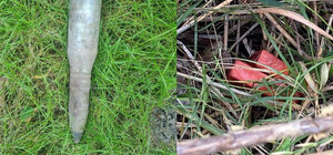 В двух парках Киева обнаружили взрывоопасные предметы