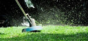 Це Львів, крихітко: на проспекті Чорновола скосили велодоріжку – фото