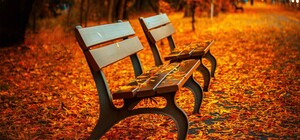 В Киеве появится 41 новый сквер