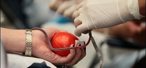 Киевлян просят сдать кровь