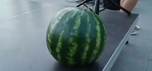 За две тысячи гривен: в Одесской области на аукционе продали херсонский арбуз (видео)