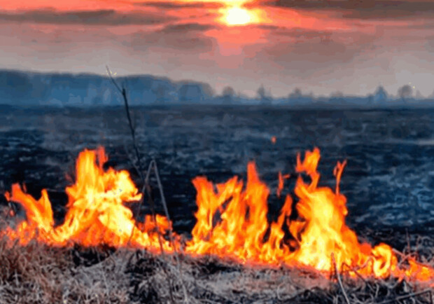 Пожежі на Київщині локалізовані. 
