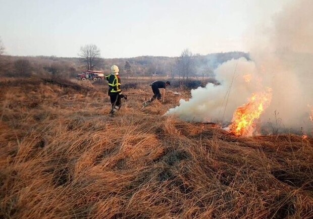 Киевлян предупредили о двух днях чрезвычайного уровня пожарной опасности 